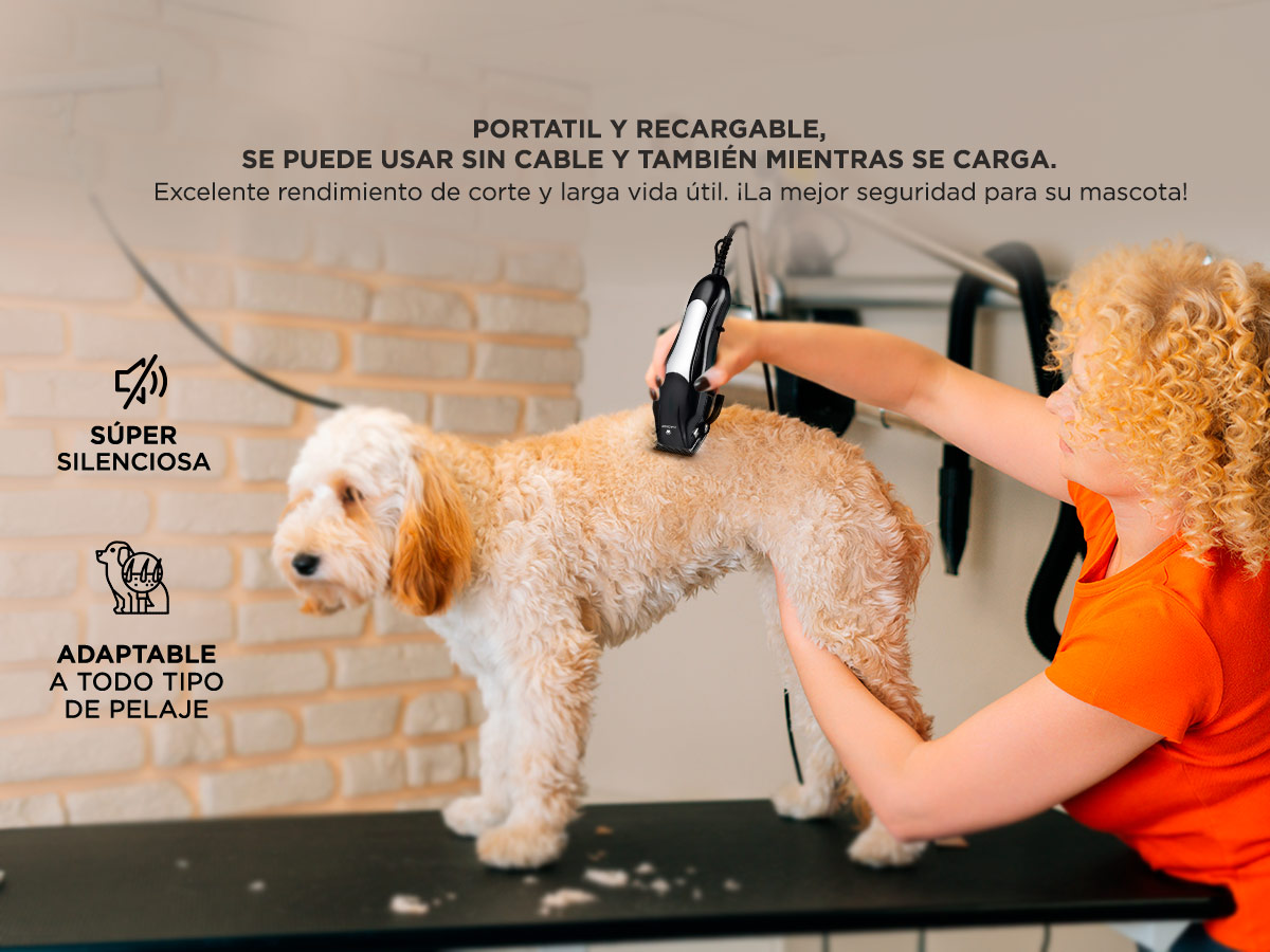 Cortadora de Pelo Canina Gadnic S600 Kit Peintes y Tijera para Perros - Imagen 3