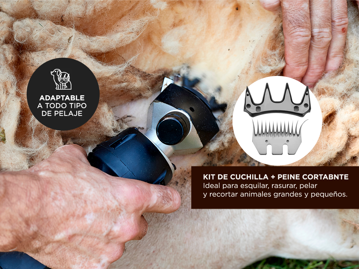 Kit Esquiladora Gadnic S900 Dual Para Animales + repuesto Cuchilla 13 Dientes - Imagen 4