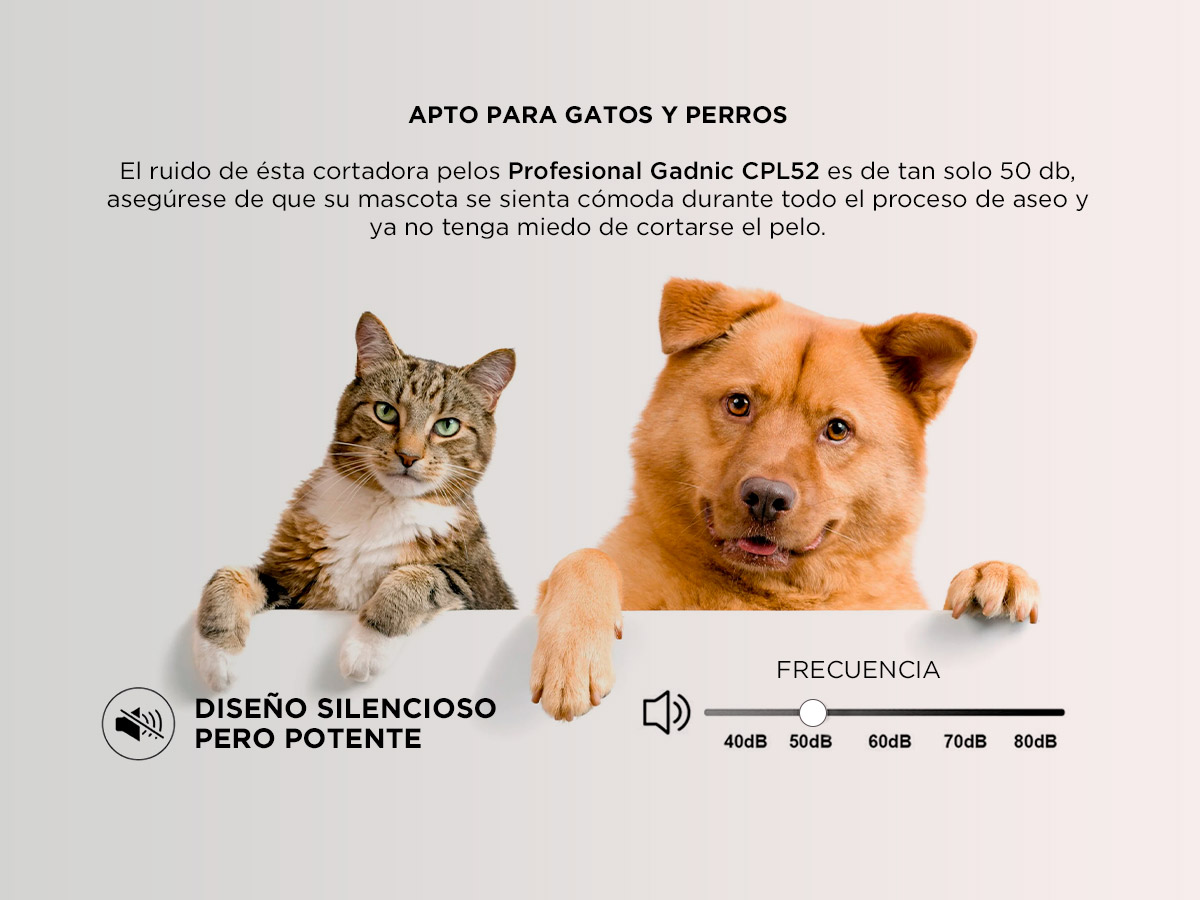 Kit Cortadora de Pelo Canino Gadnic CPL52 + Tijeras Peluquería Canina - Imagen 3