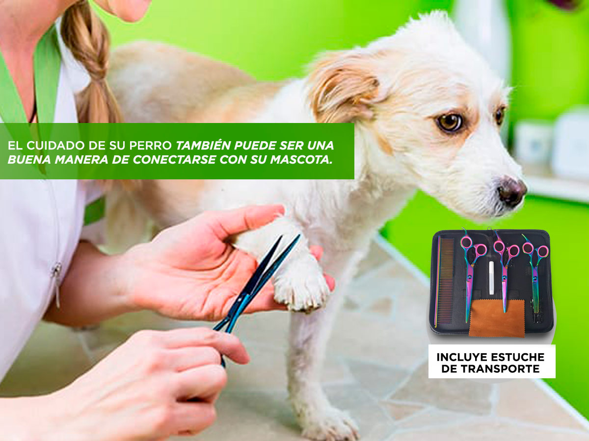Kit Máquina De Cortar Pelo Para Perros Gadnic CPC12 + Tijeras T-300S Profesionales - Imagen 5