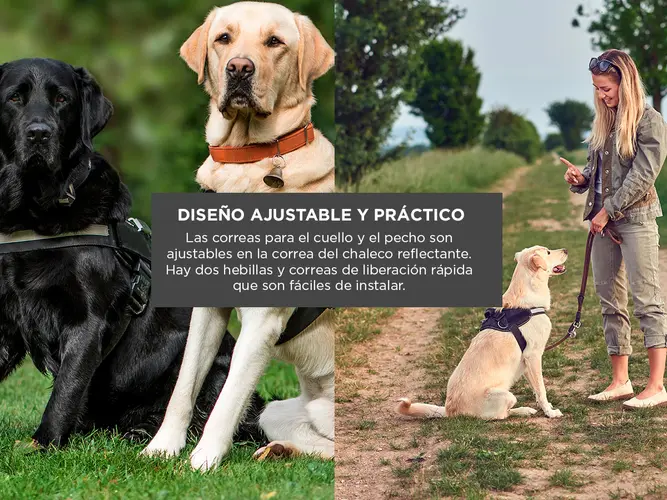 Pretal Arnes Para Perro S al XXL - Imagen 4