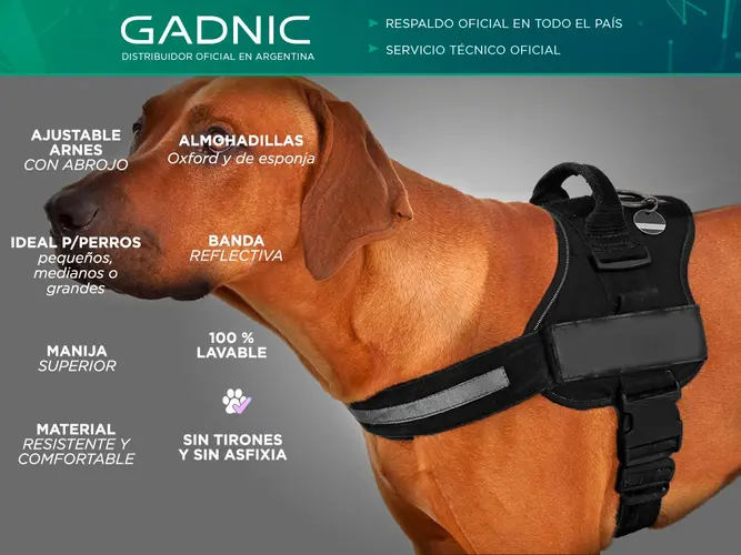 Pretal Arnes Para Perro S al XXL - Imagen 2